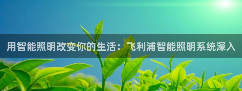 云顶28官网下载