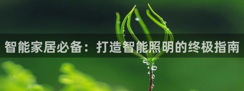 云顶国际app官方下载安卓