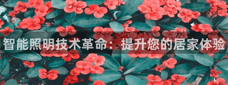 云顶国际酒店位置图