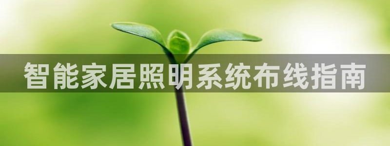 云顶官网·com
