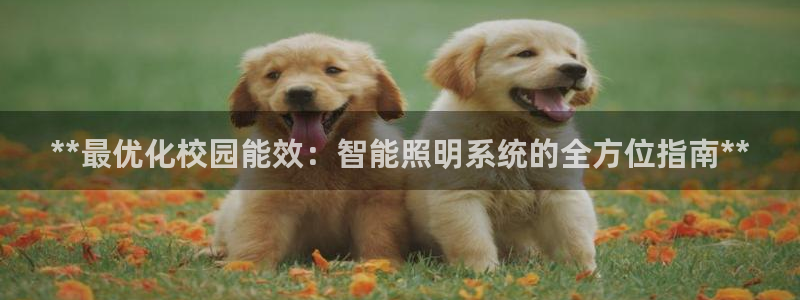 云顶集团官网电话