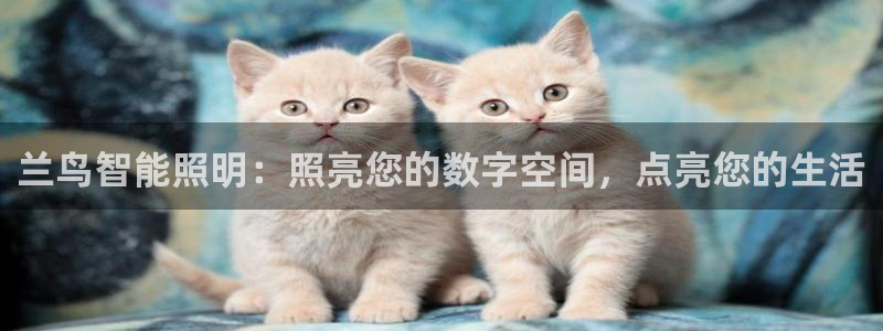 云顶集团简介资料