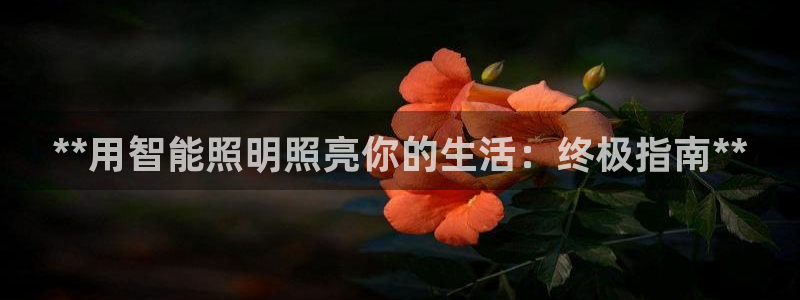 云顶国际app手机版下载安装