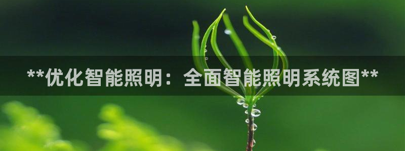 云顶国际电子游戏怎么玩