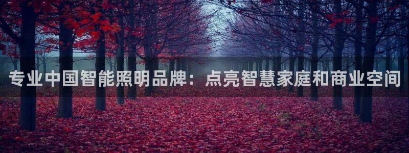 云顶国际滑雪度假小镇
