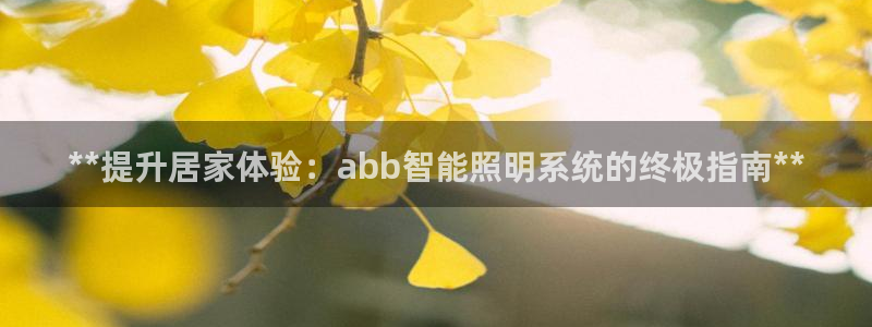 yd云顶国际
