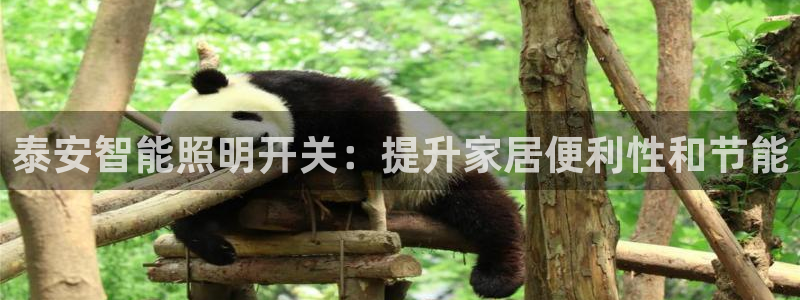 云顶国际网上平台