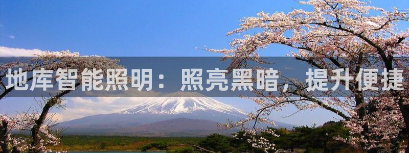 云顶国际pg网站官网