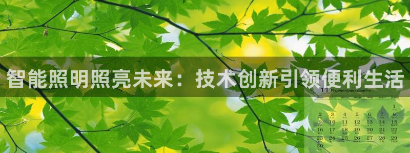 云顶国际软件官网下载
