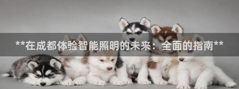 云顶集团有限公司是国企吗