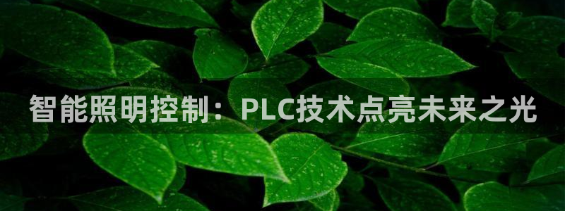 云顶国际晟荣协会荣誉奖项