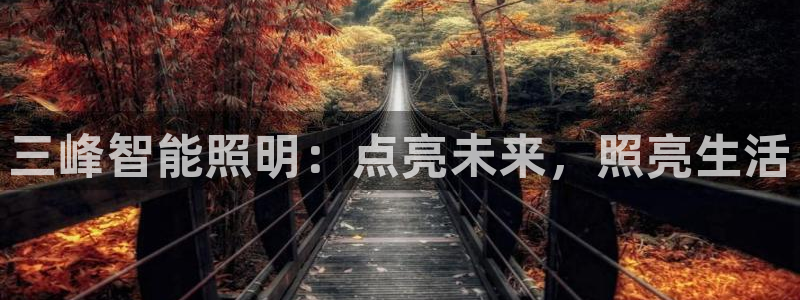 云顶国际平台游戏可靠吗