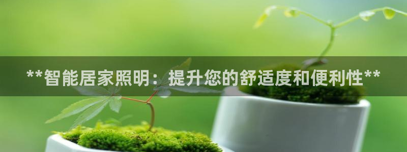 云顶集团中国公司
