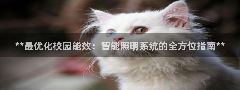 云顶国际物流