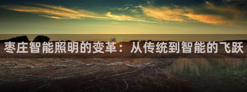云顶国际大厦在什么地方
