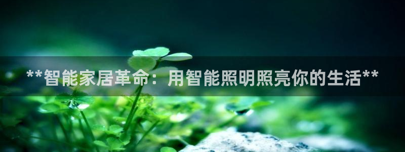 云顶集团有限公司简介资料