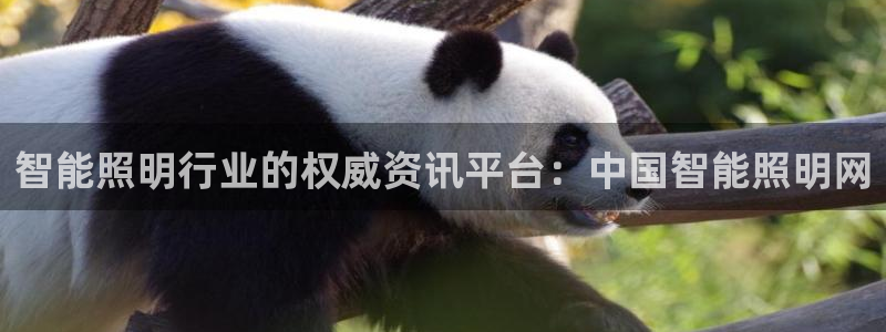云顶国际邮轮公司