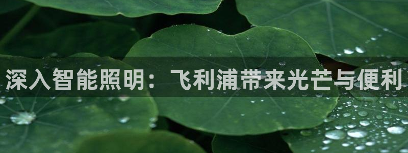 云顶国际服什么时候更新s108