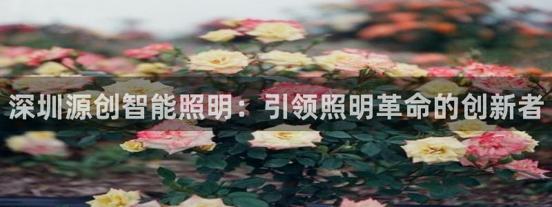 云顶国际晟荣协会荣誉奖项