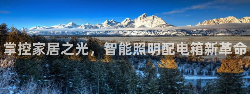 云顶国际软装公司怎么样