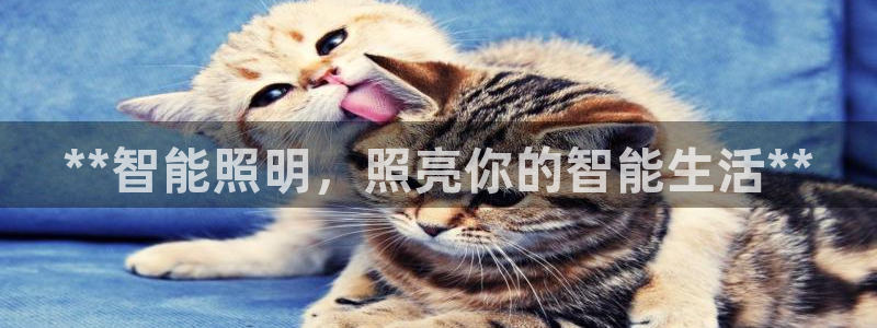 云顶集团3118app下载