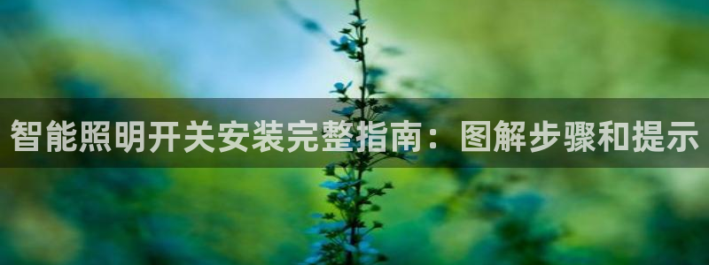 云顶国际足球app下载最新版