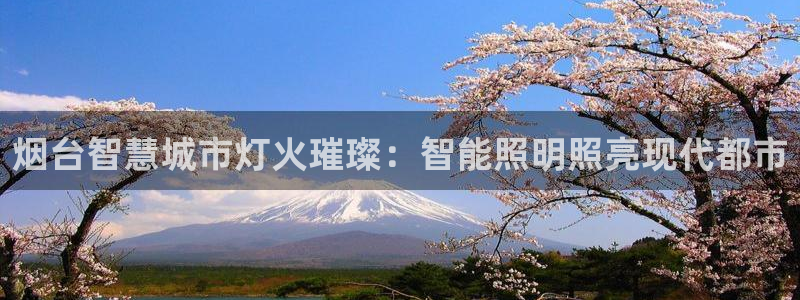 云顶国际广场物业电话