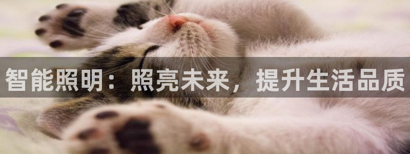 云顶国际服怎么选服务器