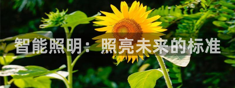 云顶集团市值