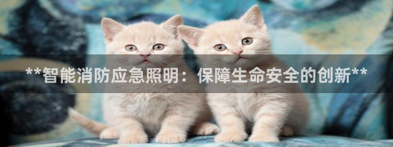 云顶国际app手机版下载