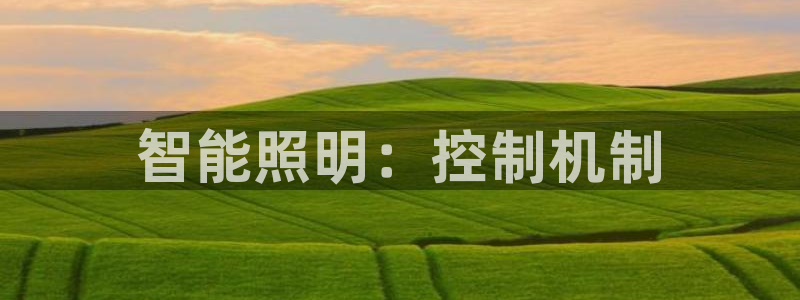 云顶集团网站多少钱一个
