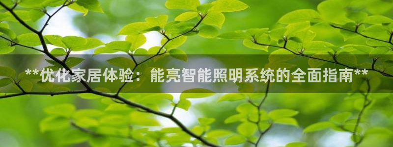 云顶国际酒店位置地图