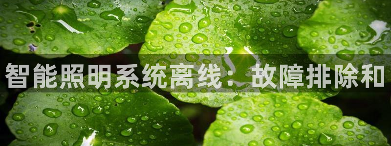 云顶国际服什么时候更新s11
