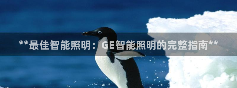 云顶集团在中国有投资吗?