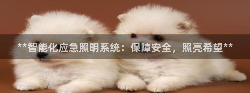 云顶国际提款不到账怎么办
