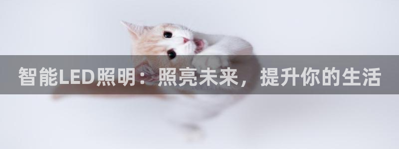 云顶国际酒店位置
