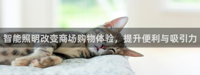 云顶国际酒店老板是哪里人