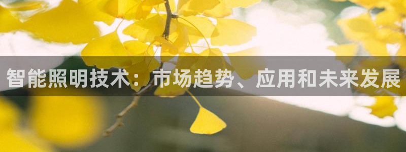 云顶国际公馆二手房