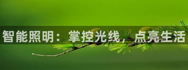 云顶集团中国区总裁