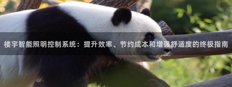 云顶国际比赛