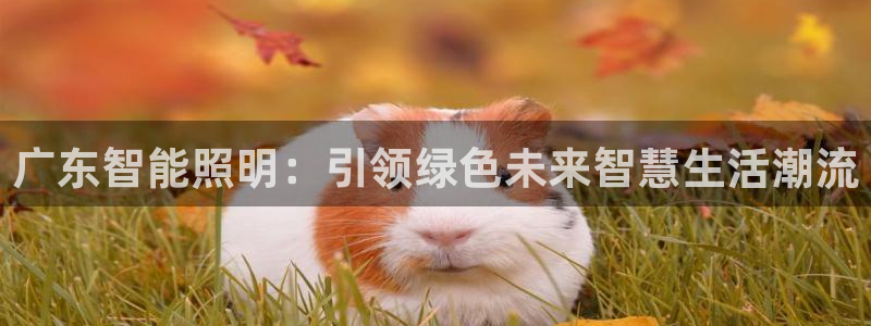 云顶国际广场房价