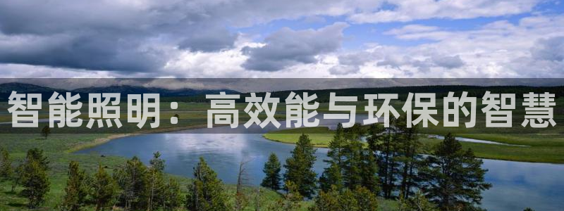 云顶国际物流有限公司