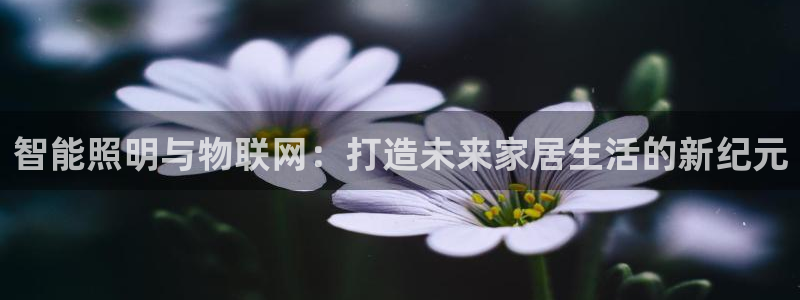 云顶国际服s10