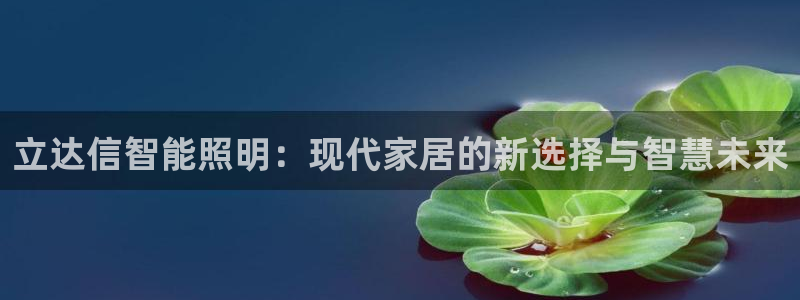 云顶国际服叫啥