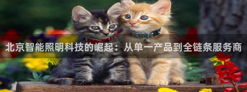云顶国际提现不到账什么原因