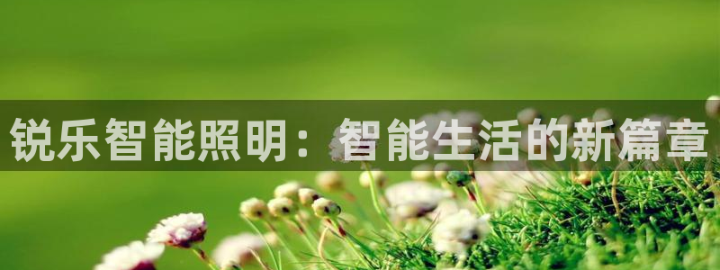 云顶集团老总