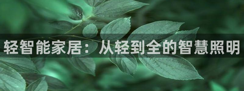 云顶国际服和端游互通吗