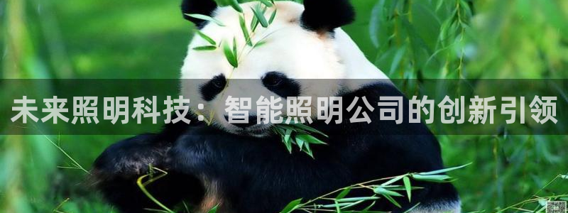 云顶国际nba智库