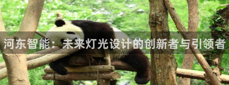 香港云顶集团创始人
