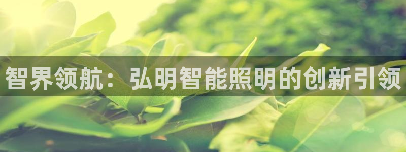 云顶国际中学